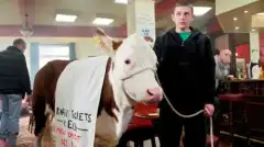 Бесстыдники (сериал 2004 – 2013) 10 сезон 4 серия